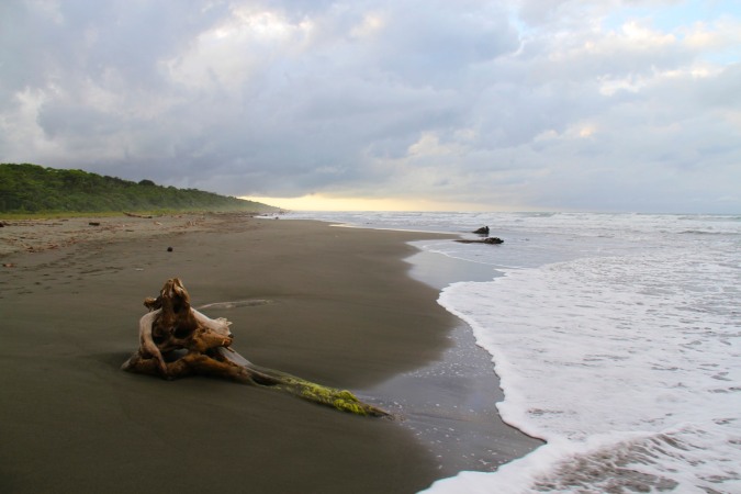 Playa Grande, Cahuita, Costa Rica