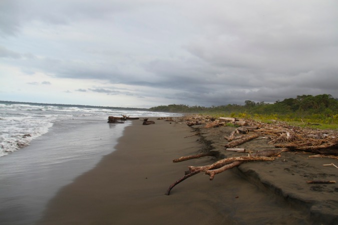 Playa Grande, Cahuita, Costa Rica