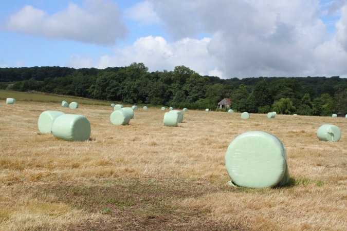Silage bales on the Worcestershire Way, Worcester, England
