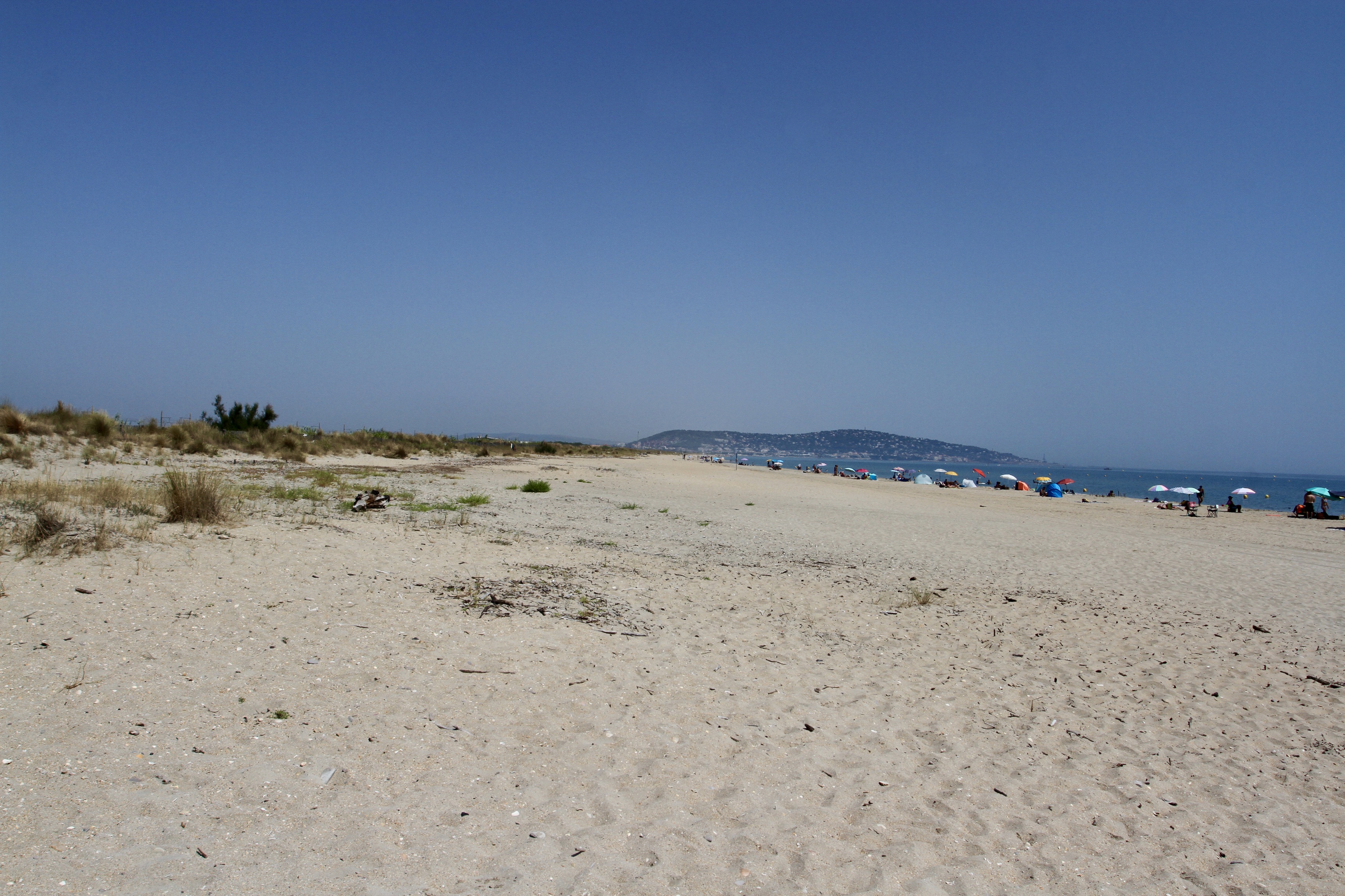Sète, France – Notes from Camelid Country