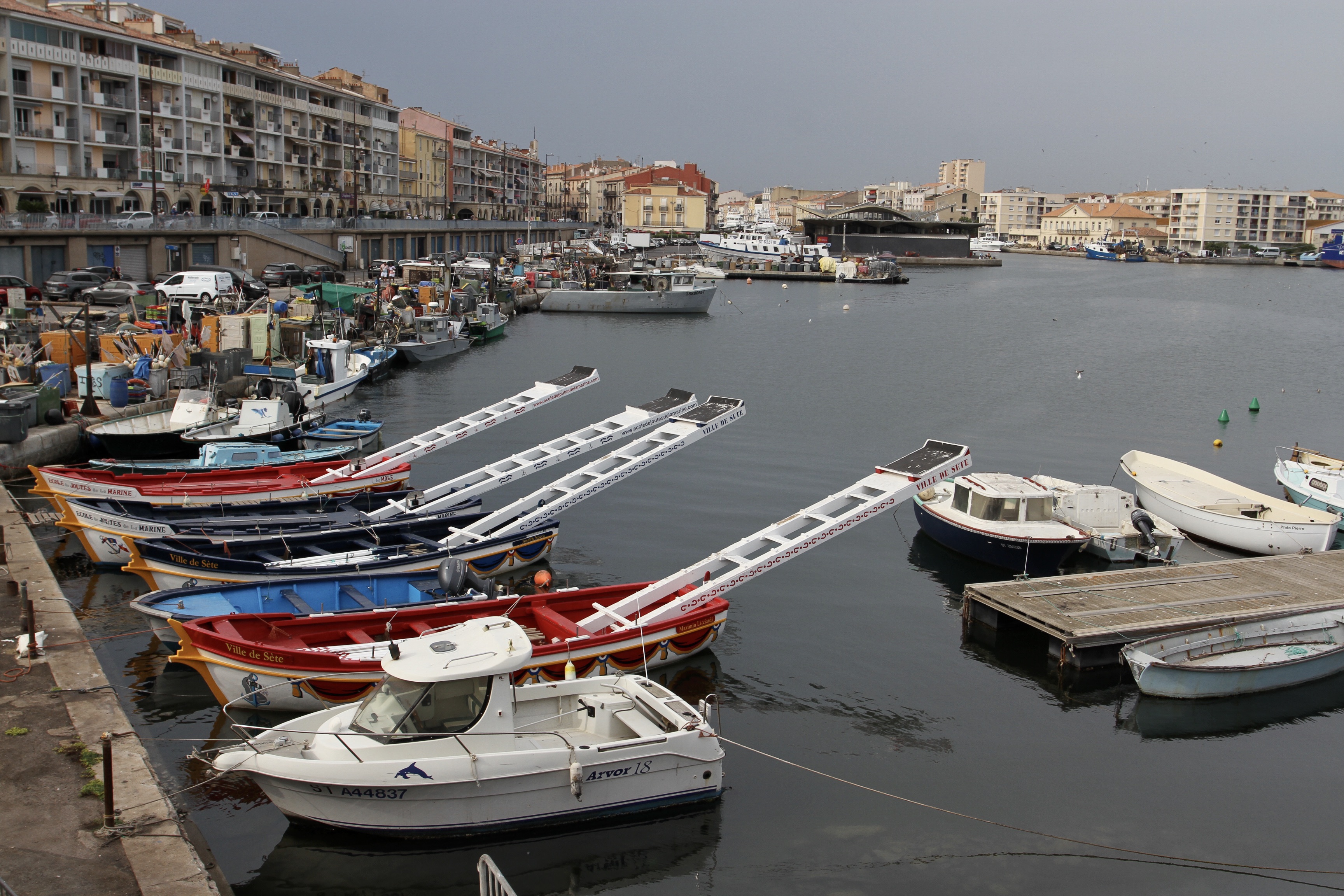 Sète, France – Notes from Camelid Country
